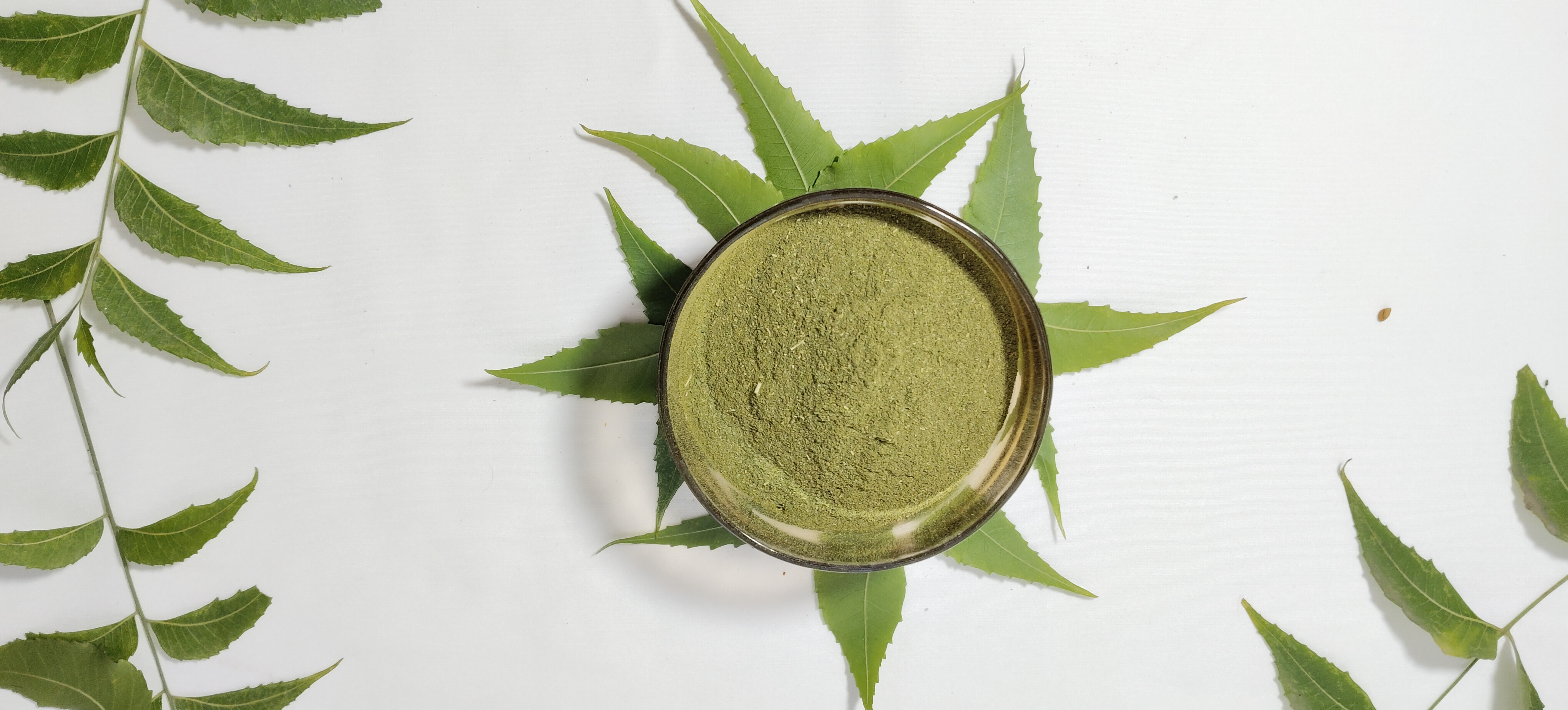 Tatva Herbs Neem Powder – 100gm